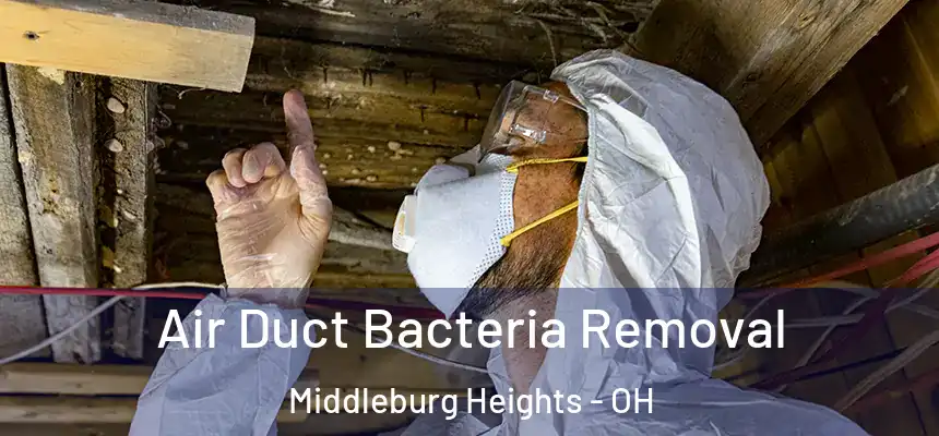  Air Duct Bacteria Removal Middleburg Heights - OH