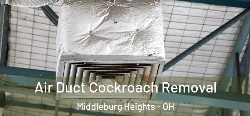  Air Duct Cockroach Removal Middleburg Heights - OH