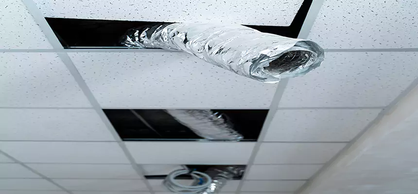 Affordable HVAC Sanitizing After Pest Removal in Middleburg Heights