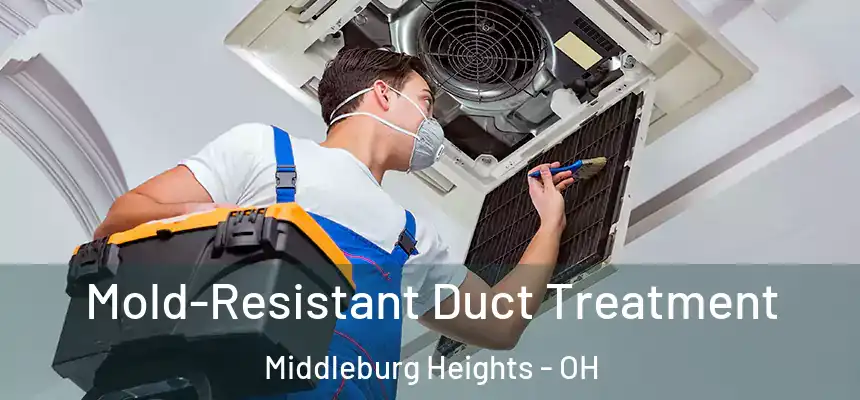  Mold-Resistant Duct Treatment Middleburg Heights - OH