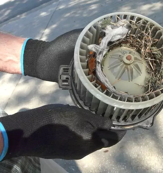 About Air Duct Mice Removal in Middleburg Heights, OH