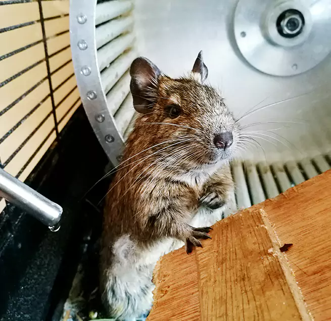 Why Homeowners & Businesses Trust Us Middleburg Heights, OH?